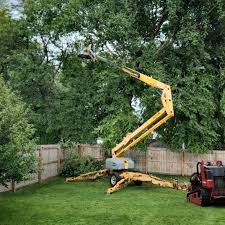 Best Lawn Watering Services  in Matawan, NJ